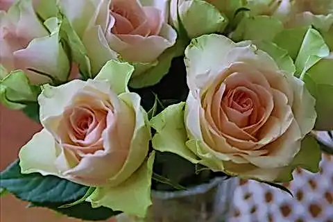 1xSlots официальный 96f961